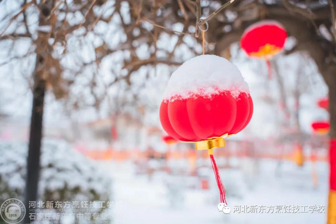 | | 如果，能在这里和你同游看场雪